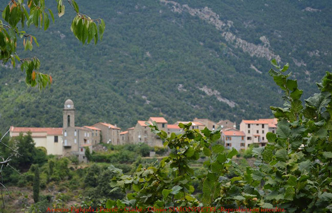 body painting de tornade, personnage marvel et comics faisant partie des x men. Bodypainting super heros realise pour un defile de marvel