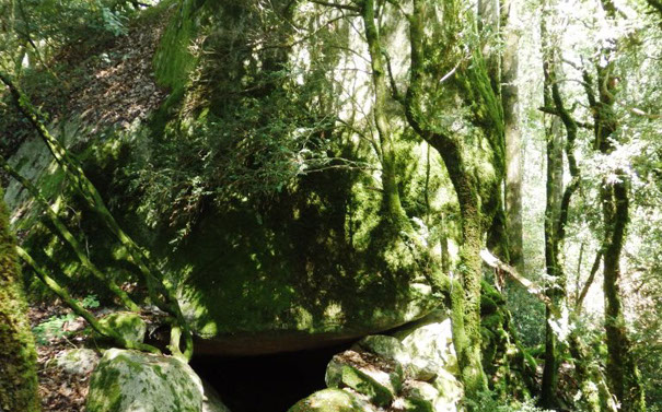 body painting de tornade, personnage marvel et comics faisant partie des x men. Bodypainting super heros realise pour un defile de marvel