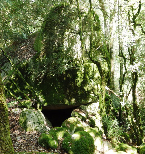 body painting de tornade, personnage marvel et comics faisant partie des x men. Bodypainting super heros realise pour un defile de marvel