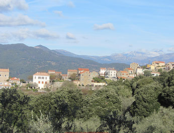 body painting de tornade, personnage marvel et comics faisant partie des x men. Bodypainting super heros realise pour un defile de marvel