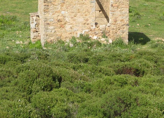 body painting de tornade, personnage marvel et comics faisant partie des x men. Bodypainting super heros realise pour un defile de marvel