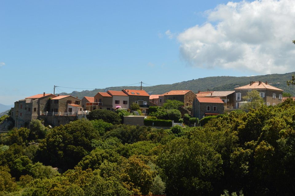 body painting de tornade, personnage marvel et comics faisant partie des x men. Bodypainting super heros realise pour un defile de marvel