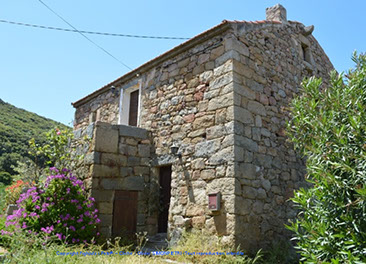 body painting de tornade, personnage marvel et comics faisant partie des x men. Bodypainting super heros realise pour un defile de marvel