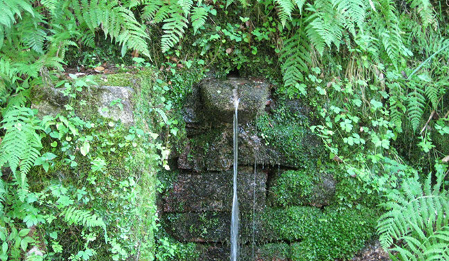 body painting de tornade, personnage marvel et comics faisant partie des x men. Bodypainting super heros realise pour un defile de marvel