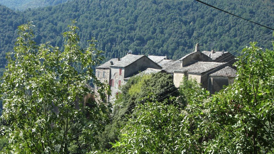 body painting de tornade, personnage marvel et comics faisant partie des x men. Bodypainting super heros realise pour un defile de marvel