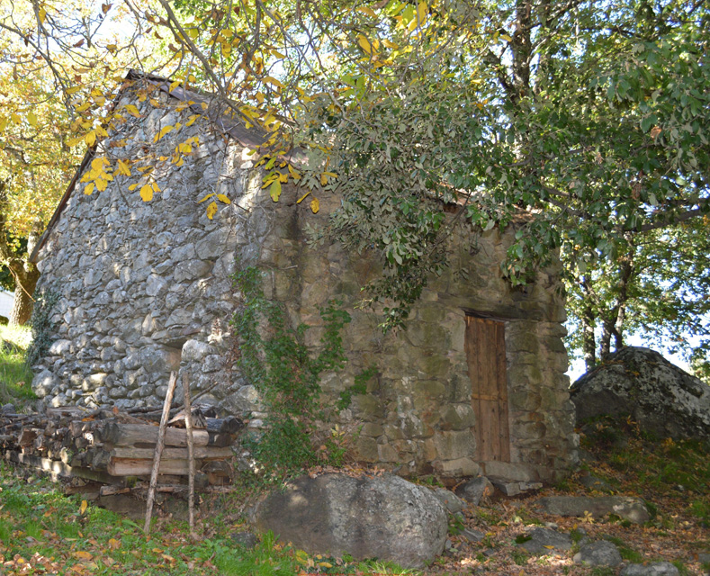 body painting de tornade, personnage marvel et comics faisant partie des x men. Bodypainting super heros realise pour un defile de marvel