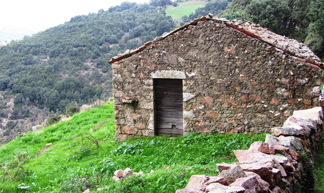 body painting de tornade, personnage marvel et comics faisant partie des x men. Bodypainting super heros realise pour un defile de marvel