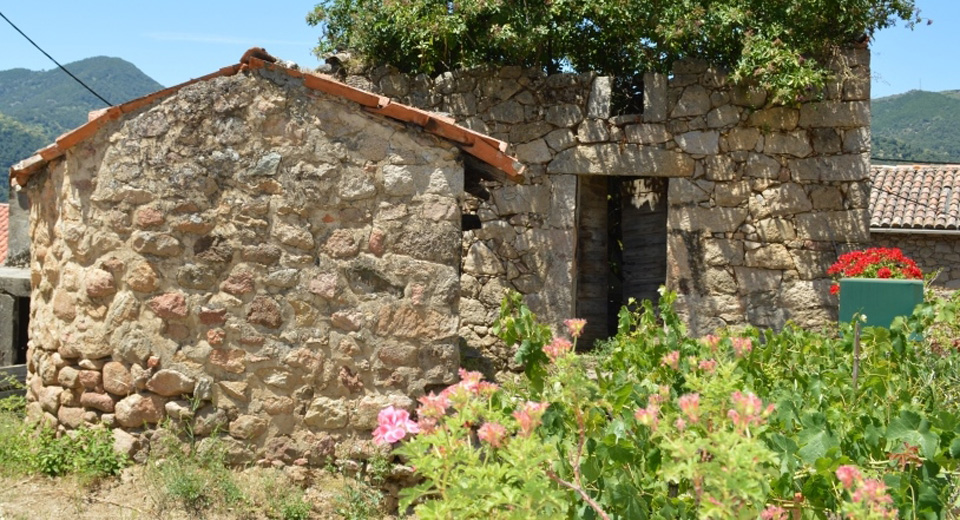 body painting de tornade, personnage marvel et comics faisant partie des x men. Bodypainting super heros realise pour un defile de marvel