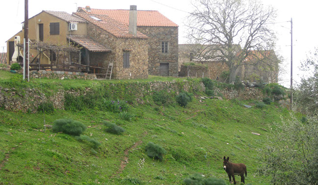 body painting de tornade, personnage marvel et comics faisant partie des x men. Bodypainting super heros realise pour un defile de marvel