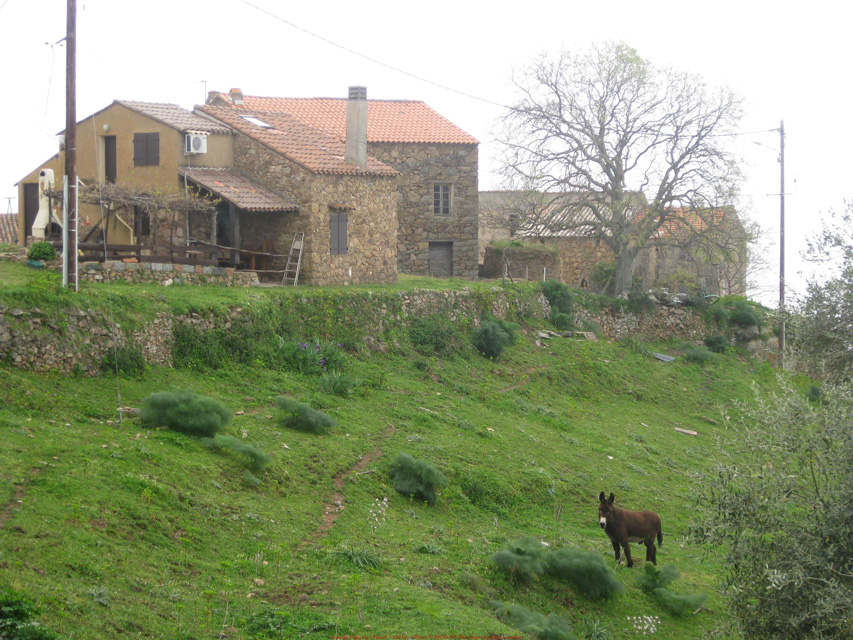 body painting de tornade, personnage marvel et comics faisant partie des x men. Bodypainting super heros realise pour un defile de marvel