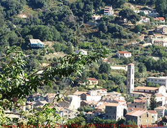 body painting de tornade, personnage marvel et comics faisant partie des x men. Bodypainting super heros realise pour un defile de marvel